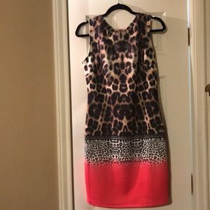 Animal Print Dress